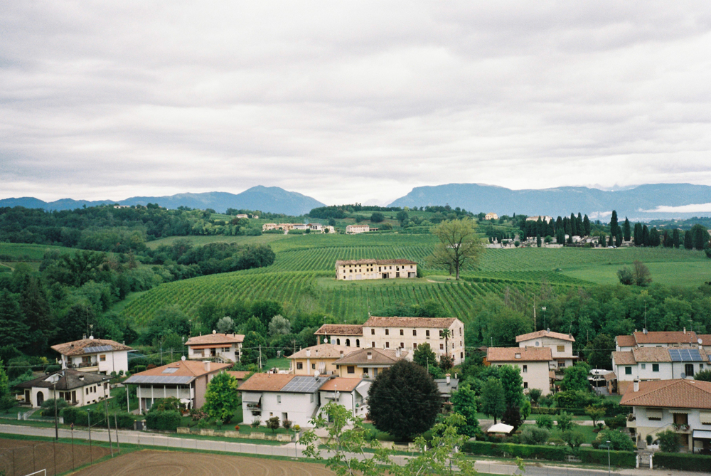 View of vineyards and houses in a hilly countryside.