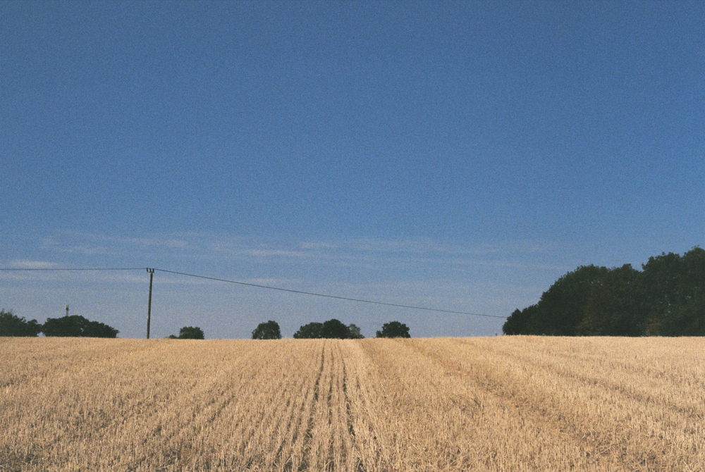 A field.