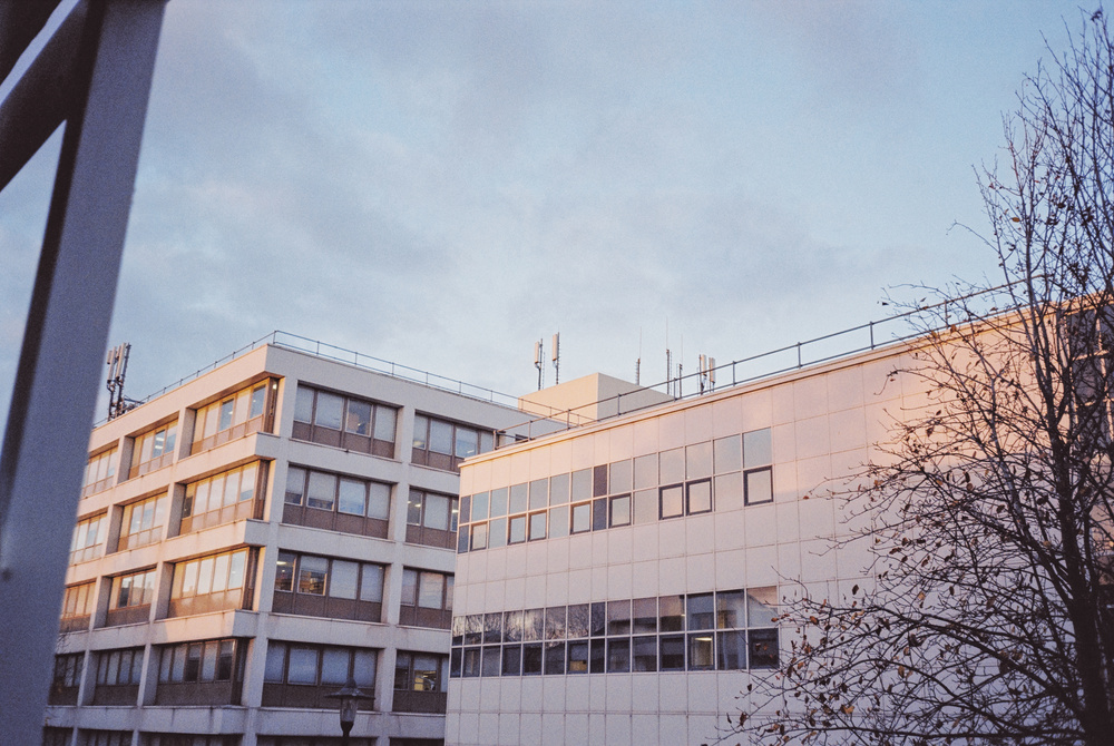 University buildings