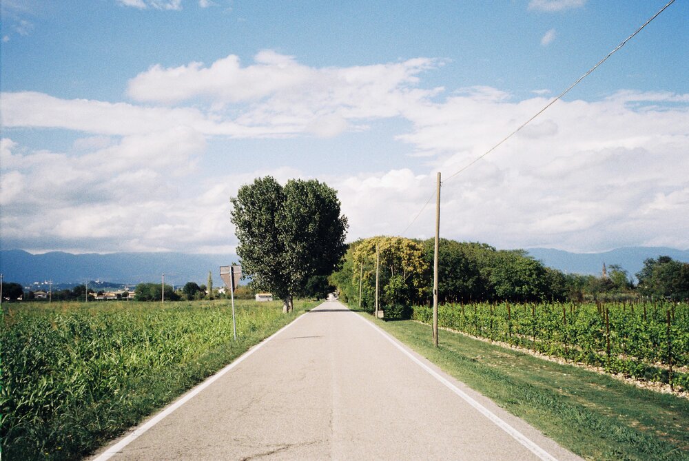 A street in my hometown on a sunny day.