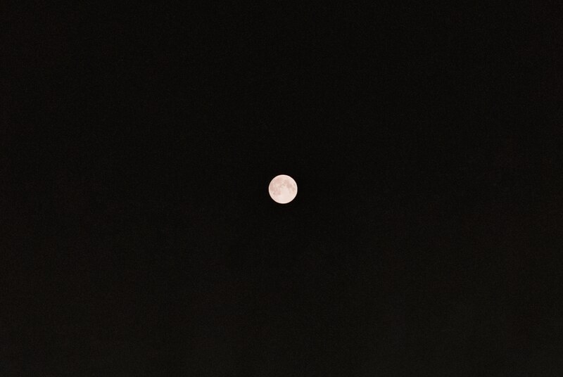 The full moon against a dark night sky.